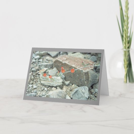 Sonoran Desert Blossom Wenskaart of Note Card Kaart (Voorkant)