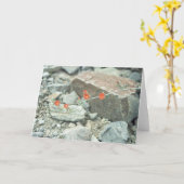 Sonoran Desert Blossom Wenskaart of Note Card Kaart (Gele Bloem)