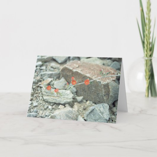 Sonoran Desert Blossom Wenskaart of Note Card Kaart (Voorkant)