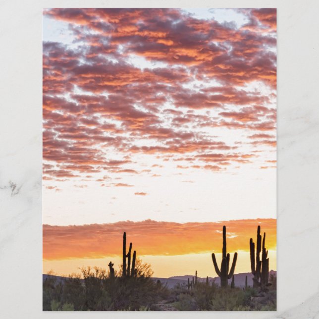 Sonoran Desert Colorful Sunrise Morning (Voorkant)