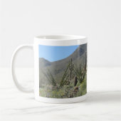 Sonoran Desert in bloom Koffiemok (Links)