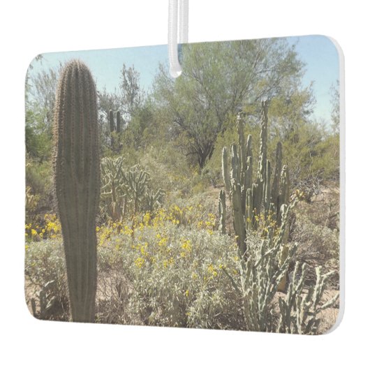 Sonoran Desert luchtverfrisser (Links)