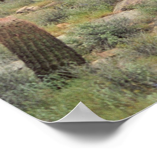 Sonoran Desert Pastoral Art Afdrukfoto-Posters Poster (Hoek)