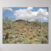 Sonoran Desert Pastoral Art Afdrukfoto-Posters Poster (Voorkant)