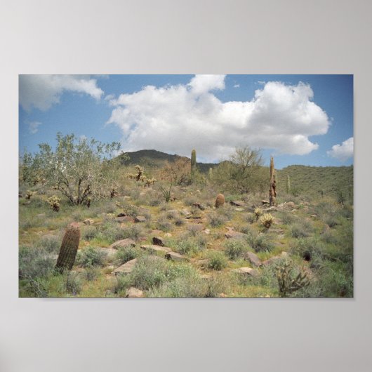 Sonoran Desert Pastoral Art Afdrukfoto-Posters Poster (Voorkant)
