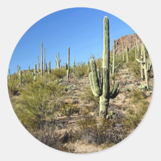 Sonoran Desert scène 03 Ronde Sticker