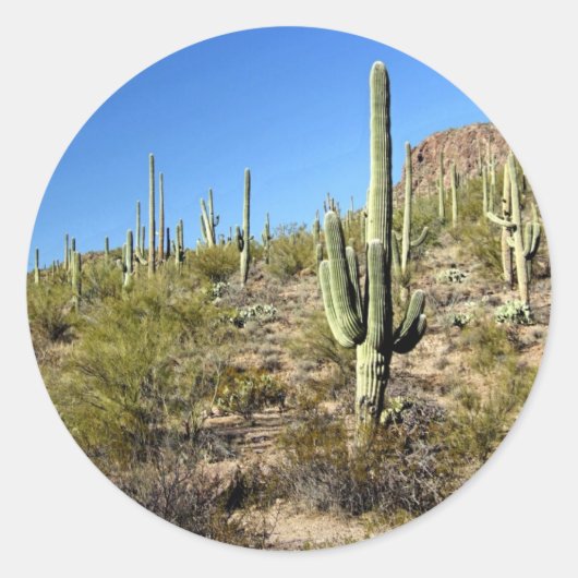 Sonoran Desert scène 03 Ronde Sticker (Voorkant)