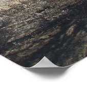 Sonoran Desert Scene 05 poster (Hoek)