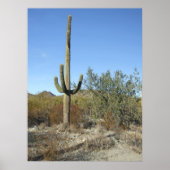 Sonoran Desert Scene 07 poster (Voorkant)
