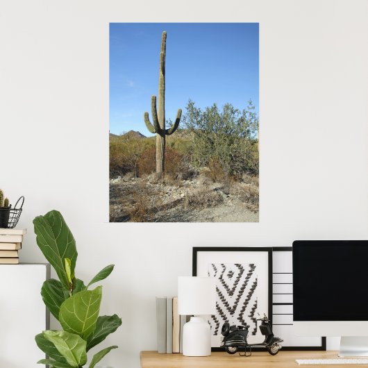 Sonoran Desert Scene 07 poster (Thuiskantoor)