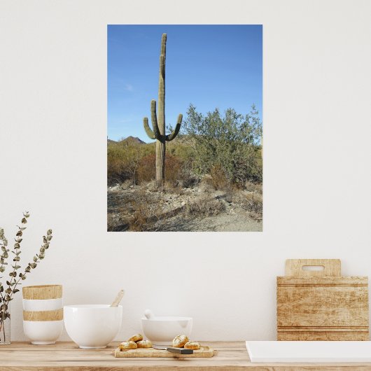 Sonoran Desert Scene 07 poster (Keuken)