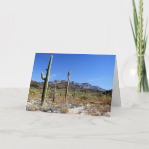 Sonoran Desert Scene 13 Kaart