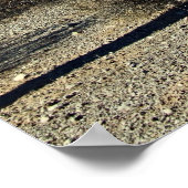 Sonoran Desert Scene 16 Poster (Hoek)