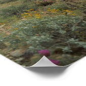 Sonoran Desert Spring Symphony Art Print Posters (Hoek)