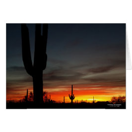 Sonoran Desert sunset Arizona met saguaro cactus