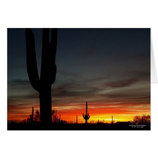Sonoran Desert sunset Arizona met saguaro cactus (Voorkant Horizontaal)