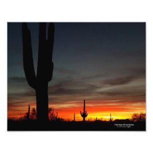 Sonoran Desert sunset Arizona met saguaro cactus Foto Afdruk