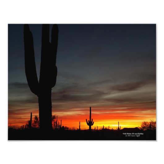 Sonoran Desert sunset Arizona met saguaro cactus Foto Afdruk (Voorkant)