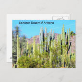 Sonoran Desert van Arizona Briefkaart (Voorkant / Achterkant)