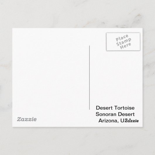 Sonoran Deset Tortoise Briefkaart (Achterkant)