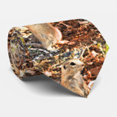 Sonoran Mannen Stropdas (Opgerold)