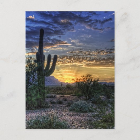 Sonoran Sunrise Briefkaart (Voorkant)