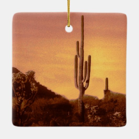 Sonoran Sunset Keramisch Ornament (Achterkant)
