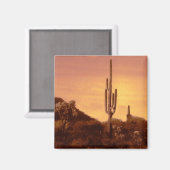 Sonoran sunset magnet (Voorkant / Achterkant)