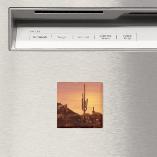 Sonoran sunset magnet (Insitu (Vaatwasser))