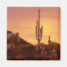 Sonoran sunset magnet