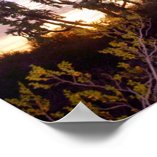 Sonoran Sunset Poster (Hoek)