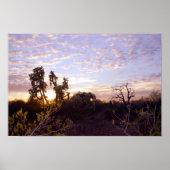 Sonoran Sunset Poster (Voorkant)