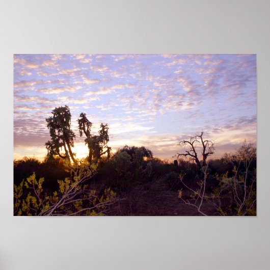 Sonoran Sunset Poster (Voorkant)