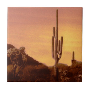 Sonoran sunset tegeltje