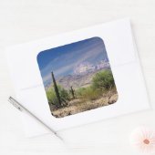 Sonoran woestijn sticker (Envelop)
