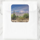 Sonoran woestijn sticker (Tas)