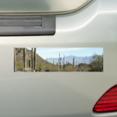 Sonoran-woestijnscène 02 bumpersticker (Op auto)