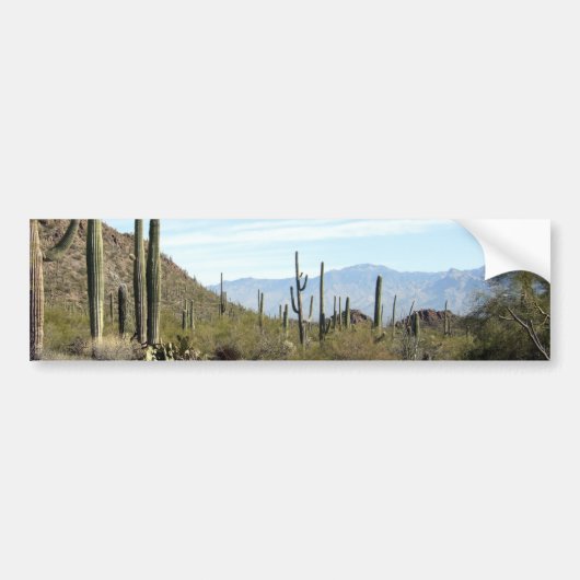 Sonoran-woestijnscène 02 bumpersticker (Voorkant)