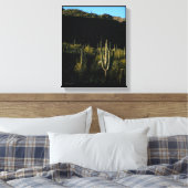 Sonoran woestijnscène met gigantische Saguaro Cact Canvas Afdruk (Insitu (Slaapkamer))