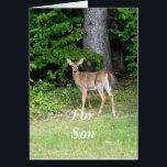 Sons Birthday Deer<br><div class="desc">Foto van een hert en bomen.</div>