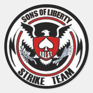 Sons Liberty Strike Team Ronde Sticker