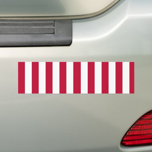 Sons of Liberty Bumpersticker (Op auto)