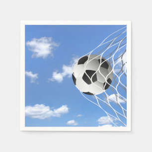 Soocer Ball in Net Servet