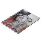 Sooky Blue Staffordshire Bull Terrier Puppy, Notitieboek (Linkerzijde)