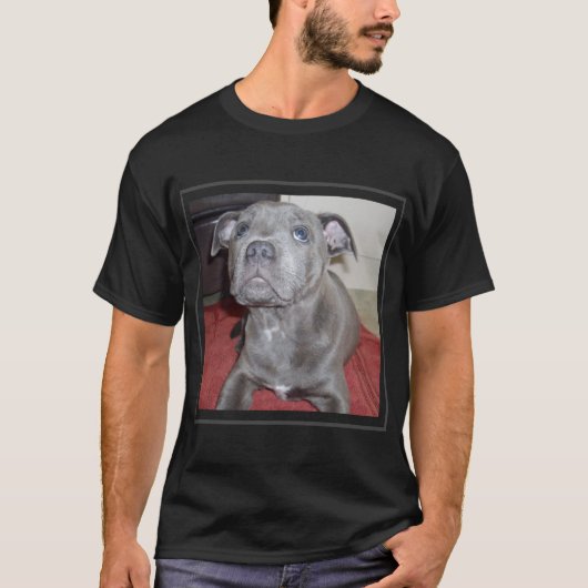 Sooky Blue Staffordshire Bull Terrier Puppy, T-shirt (Voorkant)