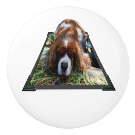 Sooky Gezicht Cavalier Spaniel Popout Art, Keramische Knop (Voorkant)