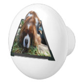 Sooky Gezicht Cavalier Spaniel Popout Art, Keramische Knop (Rechts)