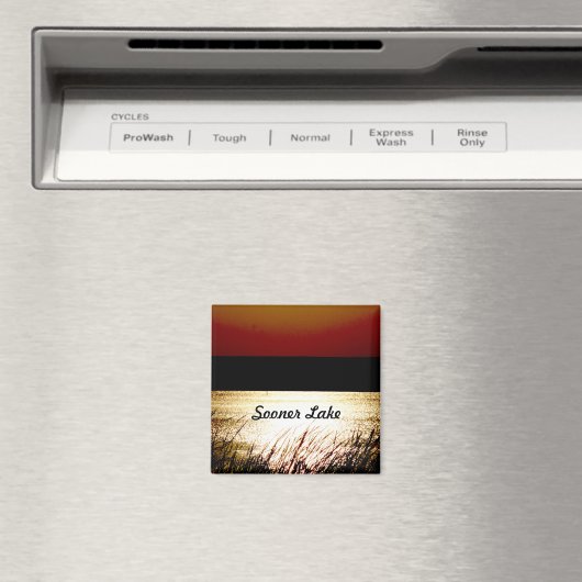 Sooner Lake Magneet (Insitu (Vaatwasser))