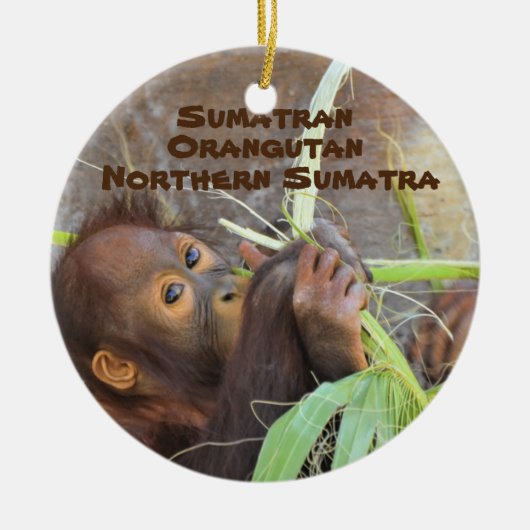 Soort bedreigde diersoorten Serie Sumatran Orangut Keramisch Ornament (Voorkant)