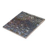 Soort: Eieren van Moor Kikker Tegeltje (Zijkant)